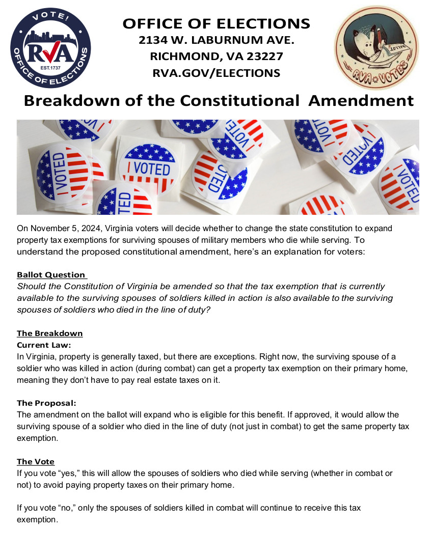 Constitutional Amendment Flyer